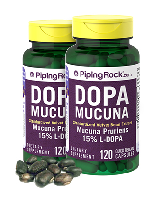 Mucuna Pruriens