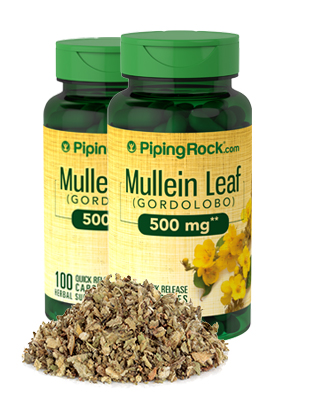 Mullein