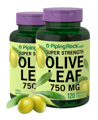 Olive Leaf