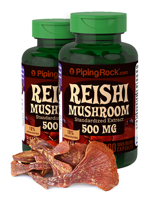 Reishi Mushroom