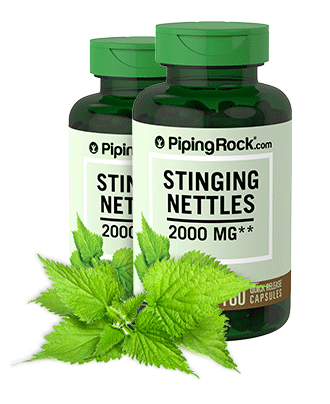 Stinging Nettles