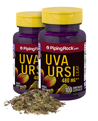Uva Ursi 